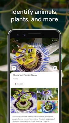Google���ܾ�ͷʶ��app��ͼ2