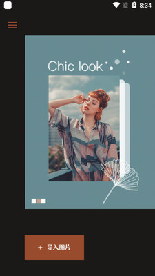 Chic��ͼapp��ͼ3