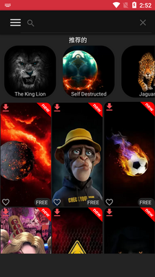pixel 4d动态壁纸免费版截图2