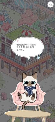猫友圈猫咪的旅行纯净版截图2