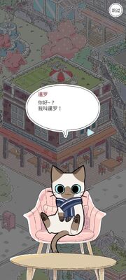 猫友圈猫咪的旅行纯净版截图1
