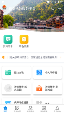 湖南税务服务平台手机版截图1