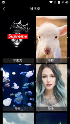 ����ֽapp��ͼ2