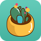 �ྲྀ���ֲ�����׿1.2���°�