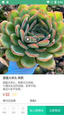 吾花肉截图1