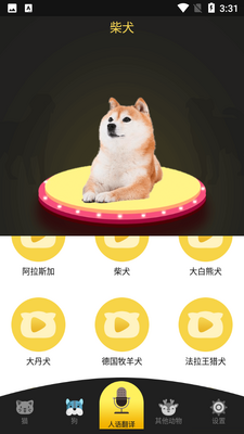 �˹�è��������ͼ2