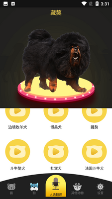 �˹�è��������ͼ3