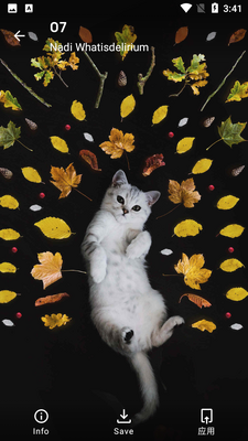 Pure Icon Pack����ͼ�����ͼ4