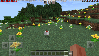 �ҵ�����Minecraft�������Ѱ��ͼ5