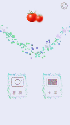 马赛克打码截图4