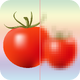 �����˴���1.1.6���°�