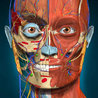 3d解剖学AnatomyLearning免费版2.1.351 完整版