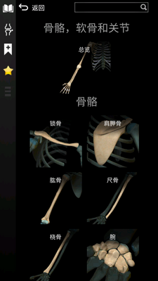 3d����ѧAnatomyLearning��Ѱ��ͼ2