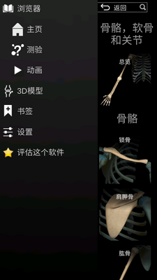 3d����ѧAnatomyLearning��Ѱ��ͼ1