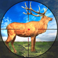 Ϸ(Wild Deer Hunting)ͼ