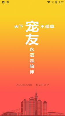 �����罻��ͼ3
