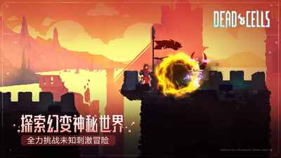重生细胞九游渠道服截图0