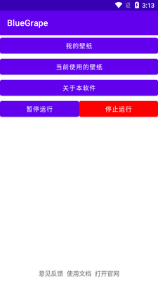 ȫ��͸����ֽBlueGrape��ͼ3