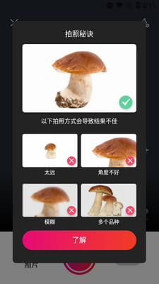 ����ʶĢ��Picture Mushroom��Ѱ��ͼ4