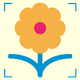 ����ʶ������app5.6.7  �ٷ���