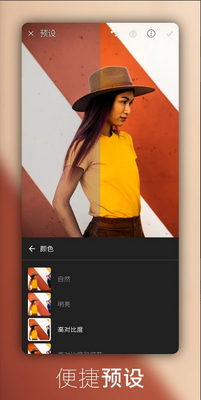Lightroom手机修图附使用教程最新版截图3