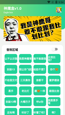 ��ӥ��������������ͼ2