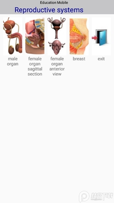 �������2(Visual Anatomy 2)��ͼ0