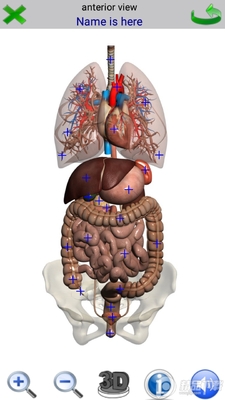 �������2(Visual Anatomy 2)��ͼ3