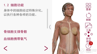 ���ʺ�����ѧ(Anatomy Physiology)��ͼ1