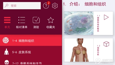 ���ʺ�����ѧ(Anatomy Physiology)��ͼ4