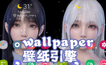 wallpaper��ֽ��������