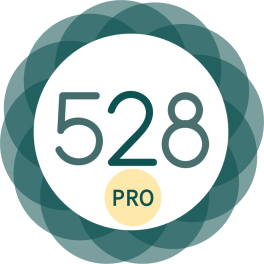 528 Player pro���ֲ�����רҵ��app41.51�޸İ�