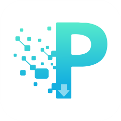 P2P下载器安卓版1.0.1 国际版