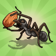 口袋蚂蚁殖民地模拟器(Pocket Ants)0.0743 最新版