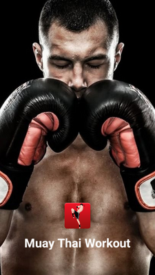 泰拳健身免费版(Muay Thai Workout)截图4