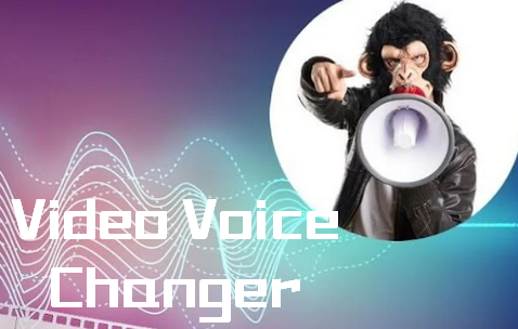 视频变声器免费版(Video Voice Changer)