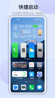 ����С���Top Widgets�ϰ汾��ͼ3