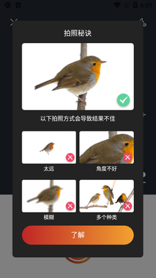 ����ʶ��(Picture Bird)��ͼ2
