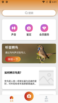 ����ʶ��(Picture Bird)��ͼ1