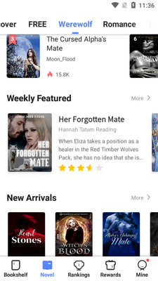 ���Ĺ��ʰ�(iReader)��ͼ2