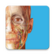 atlas�������2026��׿��Ѱ�v2026.00.019 ������