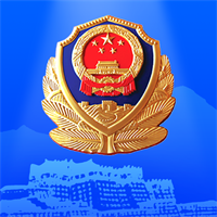 西藏公安政务服务安卓版
