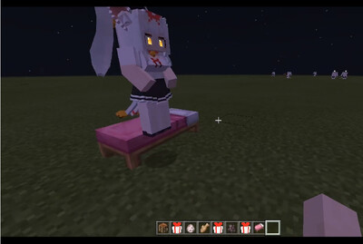 �ҵ�����Minecraftè��ģ���ͼ0