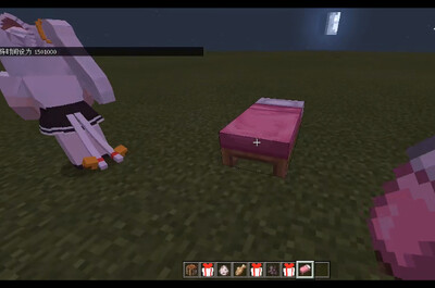�ҵ�����Minecraftè��ģ���ͼ3
