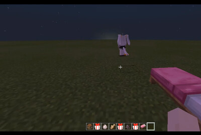 �ҵ�����Minecraftè��ģ���ͼ2