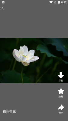 �й�����app��ͼ3