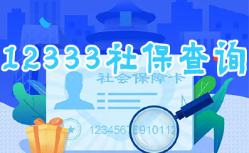 12333�籣��ѯ������app����-12333����ʶ����֤����-�й�12333�籣��ѯƽ̨