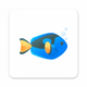 ios�鶯�뵺�����װ��v1.0���°�