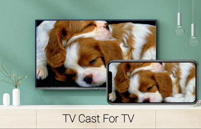 MiracastͶ��(TV CAST)��ͼ2