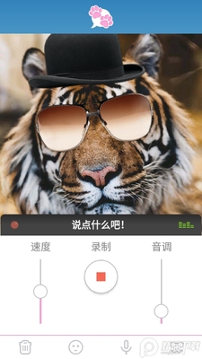 我的宠物会说话专业解锁版截图0